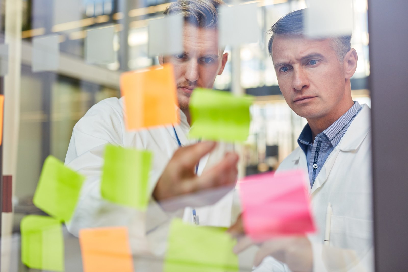 In-Company workshops